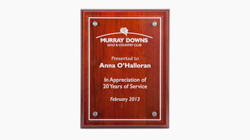 Custom made award plaques